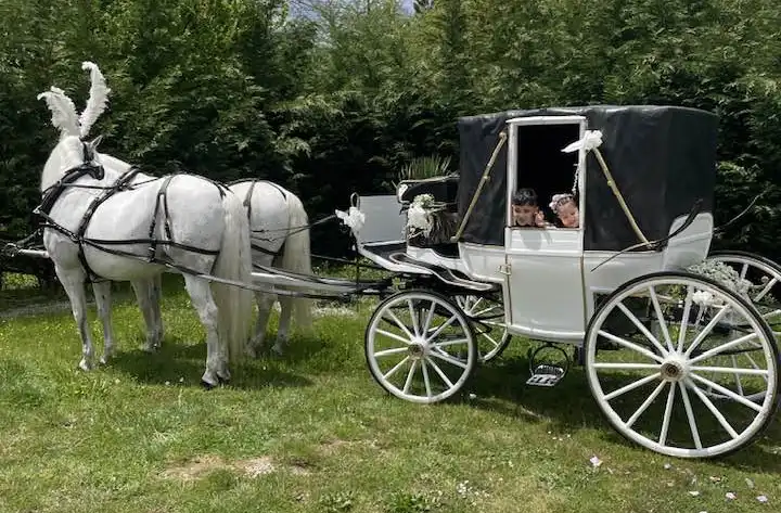 carrozza-cavalli-islero-ranch carrozza-cavalli-islero-ranch